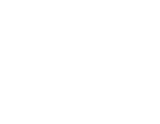 Corteza-Arquitectura