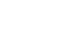 Homofaber